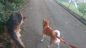 夜のお時間 2019/9/21