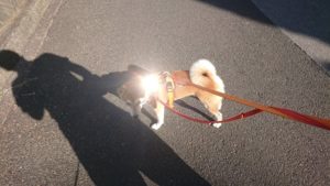 朝のお時間 2019/9/22