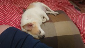 お昼過ぎのお時間 2019/9/22