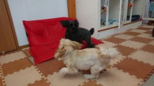 昼のお時間 2019/9/23