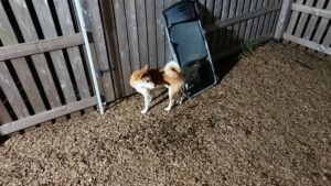 夜のお時間 2019/9/23