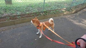 朝のお時間 2019/9/24