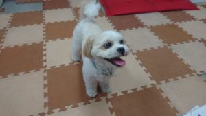 昼のお時間 2019/9/24