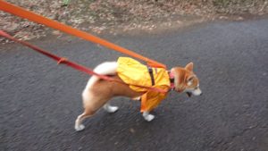 夜のお時間 2019/9/24