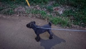 夜のお時間 2019/9/25