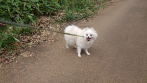 朝のお時間  2019/9/26