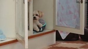 昼のお時間 2019/9/26