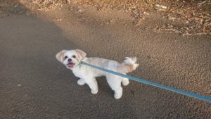 夜のお時間 2019/9/26