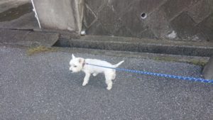 朝のお時間 2019/9/27