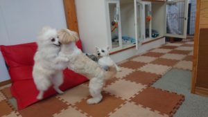 昼のお時間 2019/9/27