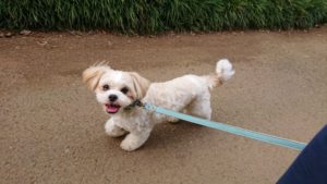 夜のお時間 2019/9/27