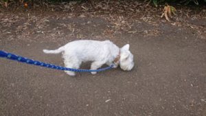 朝のお時間 2019/9/28