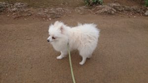 夜のお時間 2019/9/28