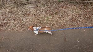 朝のお時間 2019/9/29