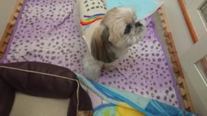 午後のお時間 2019/9/29