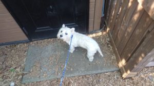 朝のお時間 2019/9/30