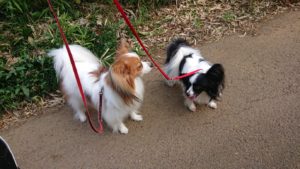 朝のお時間 2019/10/1