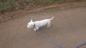 朝のお時間 2019/10/2