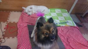 午後のお時間 2019/10/2