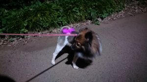 夜のお時間 2019/10/2