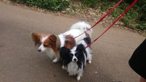 朝のお時間 2019/10/3