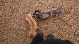 昼のお時間 2019/10/3