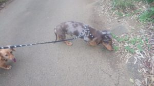 夜のお時間 2019/10/3