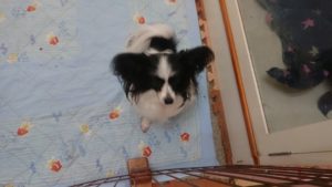 昼のお時間 2019/10/4