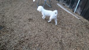 夜のお時間 2019/10/4