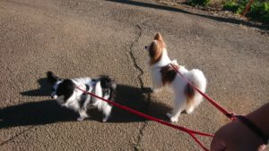 朝のお時間 2019/10/5