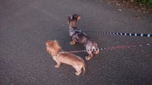 夜のお時間 2019/10/5