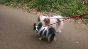 朝のお時間 2019/10/6