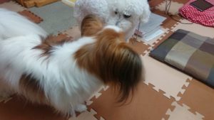 昼のお時間 2019/10/6