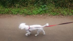 朝のお時間 2019/10/7