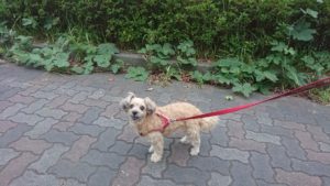 夜のお時間 2019/10/7