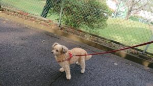 おおおぉおー😅 2019/10/8