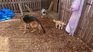 午後のお時間 2019/10/8