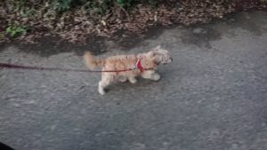 夜のお時間 2019/10/8