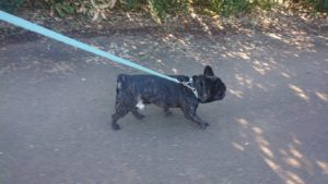 朝のお時間 2019/10/9