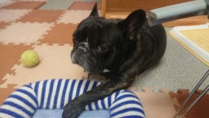 昼のお時間 2019/10/9