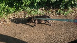 夜のお時間 2019/10/9