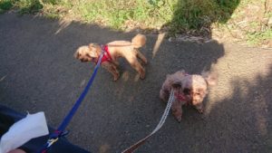 朝のお時間 2019/10/10