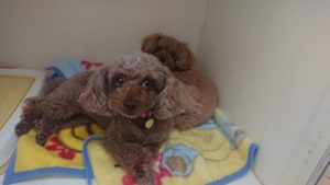 昼のお時間 2019/10/10