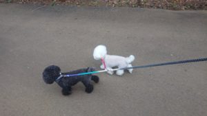 夜のお時間 2019/10/10