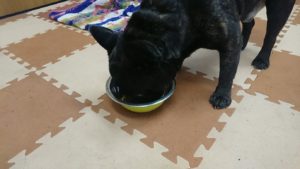 朝のお時間 2019/10/11