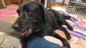 午後のお時間 2019/10/11