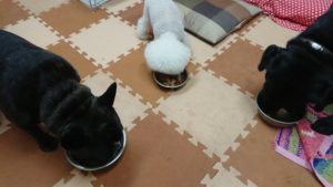 夜のお時間 2019/10/11