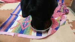 まだ来てないのに。 2019/10/12