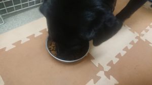 まだ大丈夫！ 2019/10/12