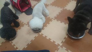 夜のお時間 2019/10/15